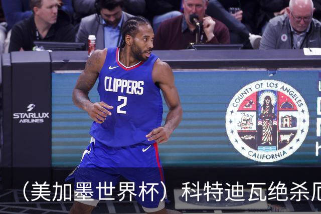 （美加墨世界杯）科特迪瓦绝杀厄瓜多尔 瑞典5:1大胜突尼斯